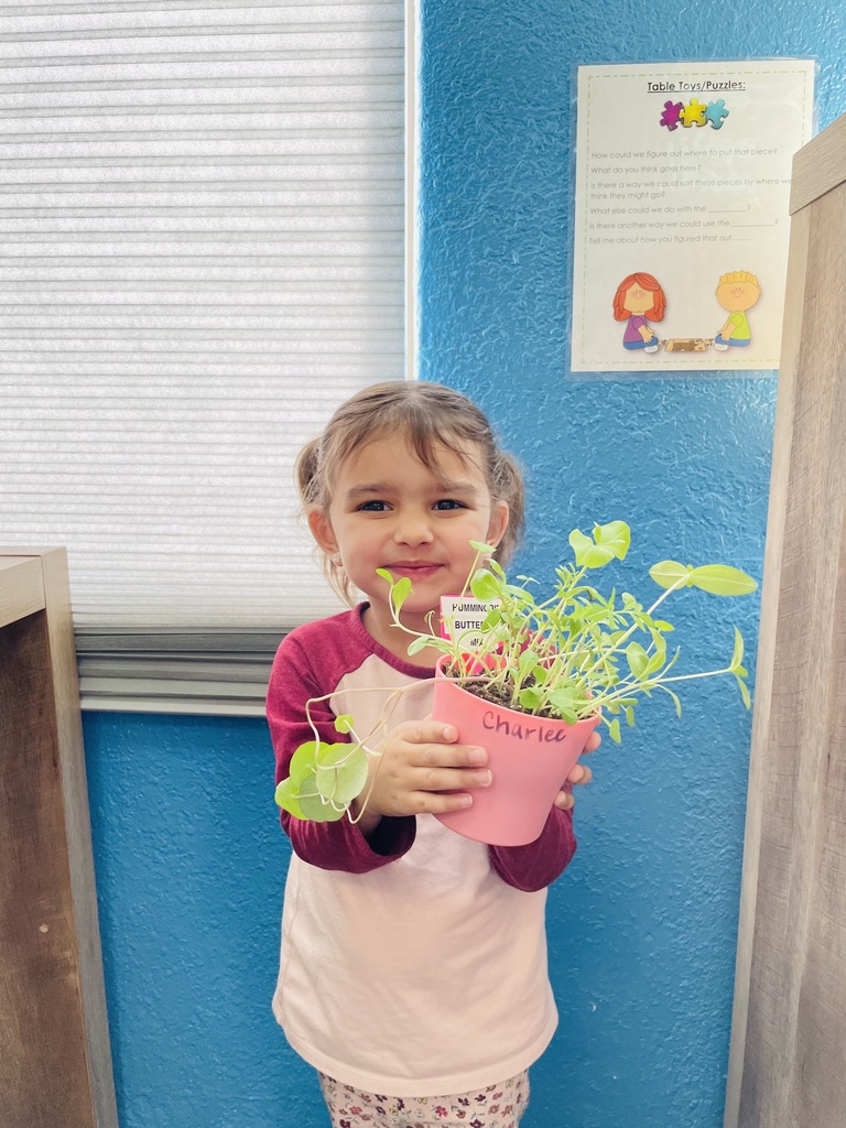 Live Feed Kettle Falls School District