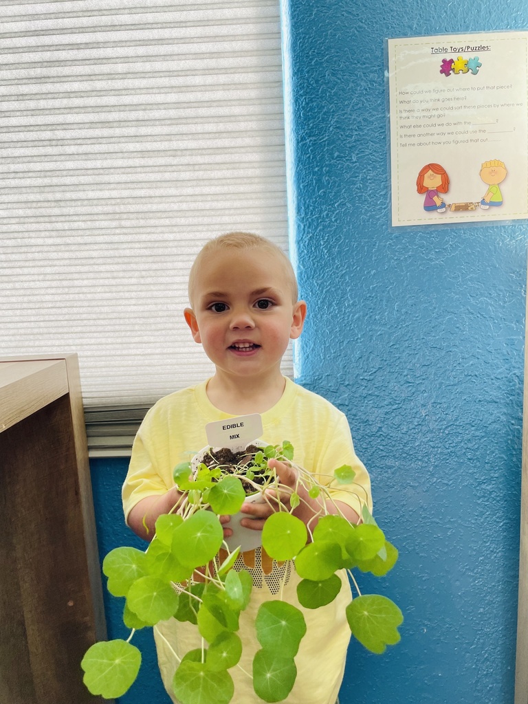 Live Feed Kettle Falls School District