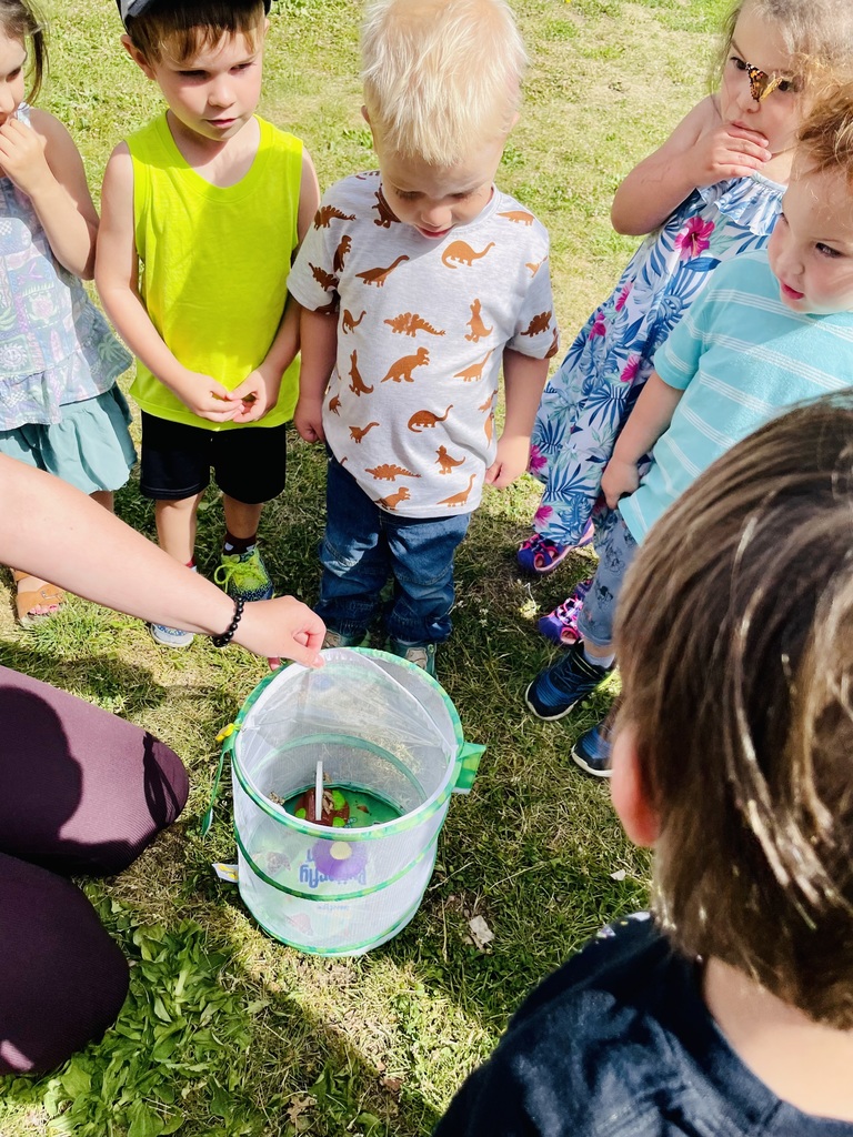 Live Feed Kettle Falls School District