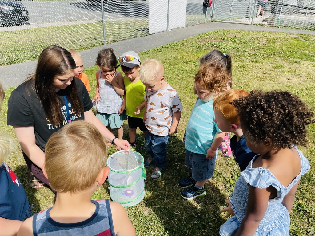 Live Feed Kettle Falls School District